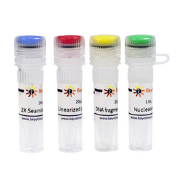 Seamless Cloning Kit (無縫克隆試劑盒) 
